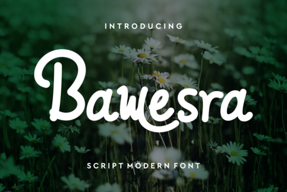 Bawesra: A Vintage Script Font