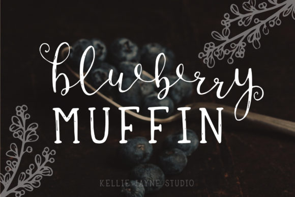 Blueberry Muffin Review