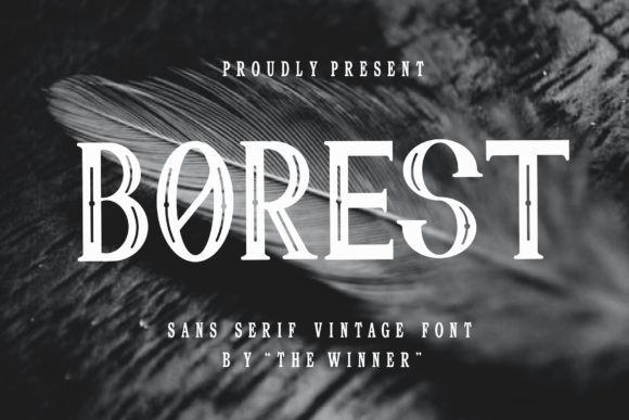 Borest: A Vintage Serif Font for Creative Projects