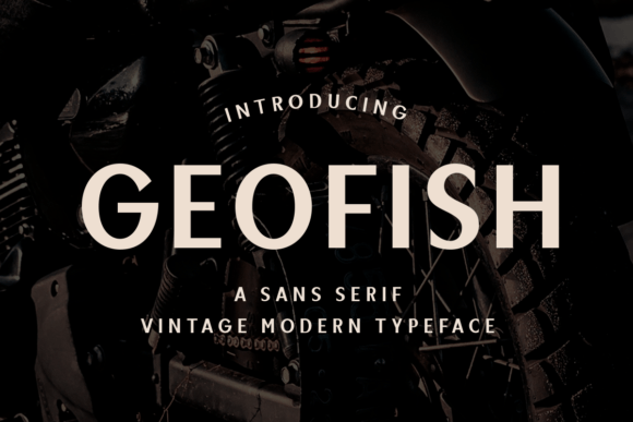 Geofish Font for Business Branding